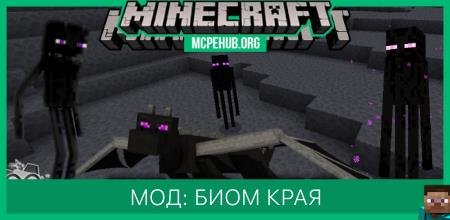 Мод: Биом Края