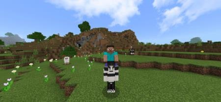 Игрок оседлал одного из своих друзей NPC