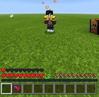 Целая дополнительная линия сердец игрока после поедания десяти сердец