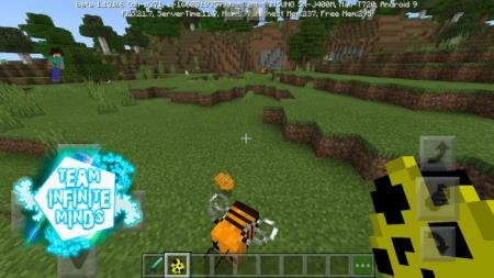 Игрок смотрит сверху на одну из пчёл