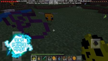 Игрок смотрит на пчелу ночью