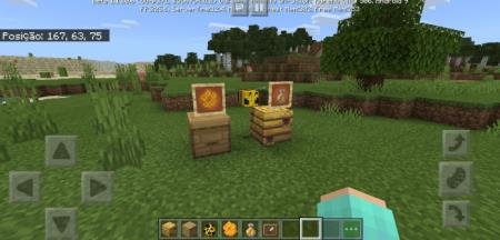 Добавленный в игру концепт пчелы