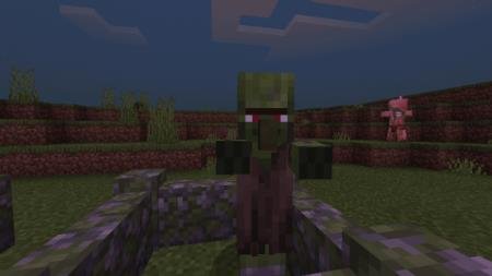 Деревенский житель-зомби перед игроком