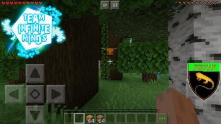 Злая пчела летает возле деревьев в лесу