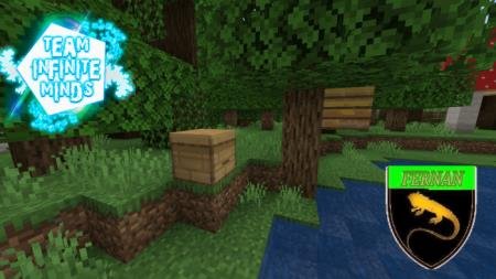 Медовый улей на дереве и медовое гнездо неподалёку от него