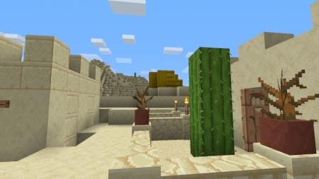 пустыня и кактус