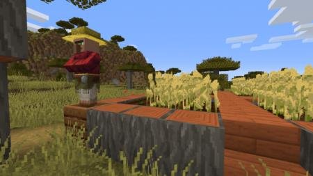 деревня и огород