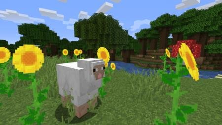 овечка и подсолнухи