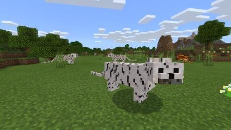 Белые тигры на равнине