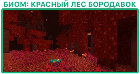 Биом Красный лес адского нароста