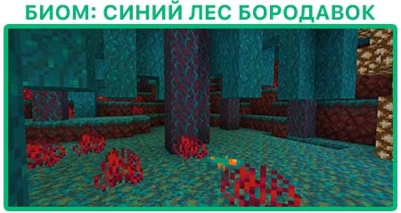 Биом Синий лес адского нароста