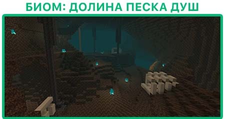 Биом Долина песка душ