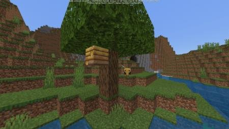 Пчела летает рядом со своим ульем, расположенным на дереве