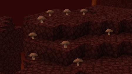 грибочки в нижнем мире