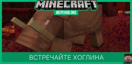 Встречайте Хоглина