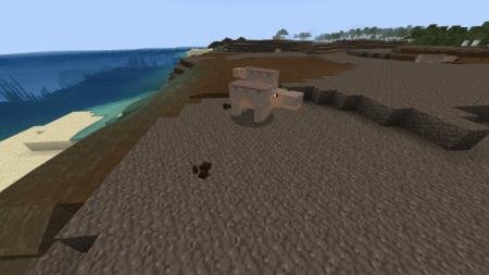 Пара бегемотов у моря