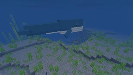 Огромный кит под водой