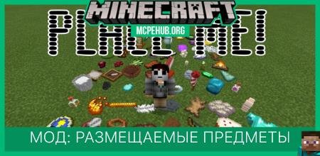 Мод: Размещаемые предметы