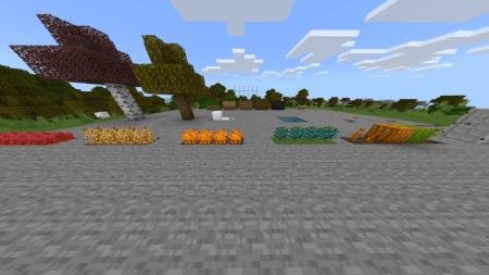 Цветные семена и саженцы овощей