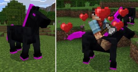 Лошадь Края и игрок, приручивший и оседлавший её