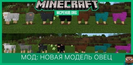 Мод: Новая модель овец