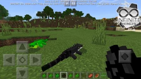 Чёрная и зелёная игуаны