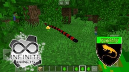 Красно-чёрная окраска змеи