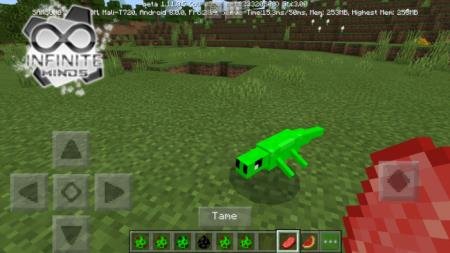 Приручение зелёной ящерицы