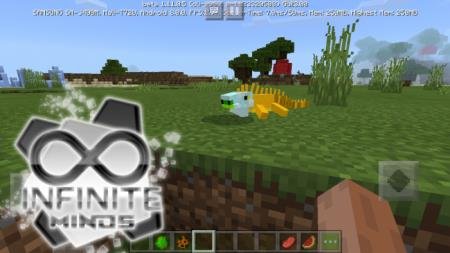 Оранжевая игуана