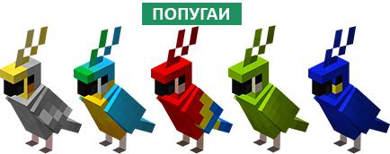 Виды попугаев