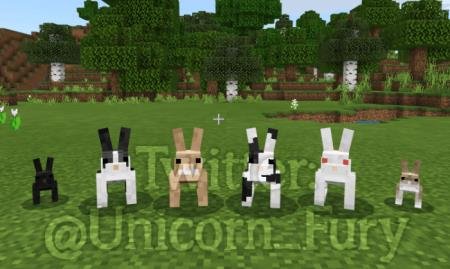 Все модели новых внешних видов кроликов