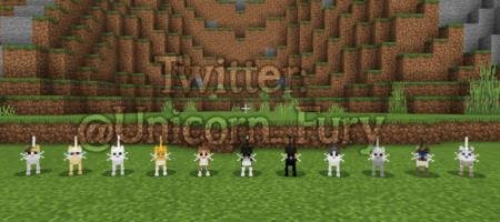 11 новых моделей кошек