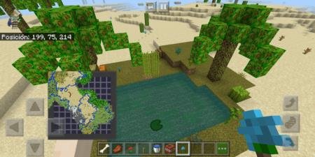 Представление редко появляющейся в пустыне структуры - Оазиса