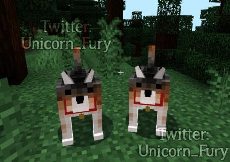 Два волка с ошейниками в лесу