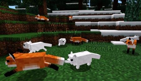 Лисы в лесу