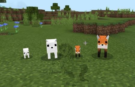 Лиса и полярная лиса