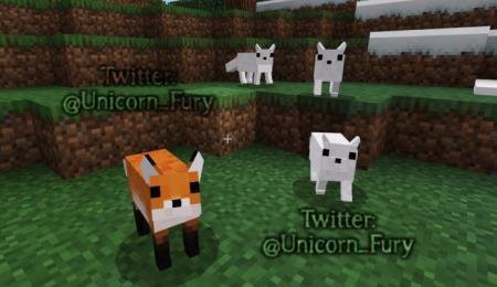 много лис в лесу