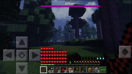 Игрок встретился с Иссушителем в лесном биоме