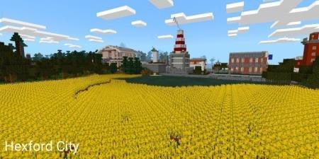 цветочная поляна