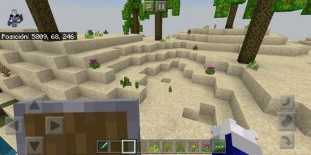 Игрок в пустыне смотрит на появившиеся благодаря моду кактусы