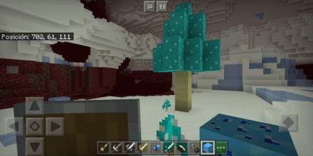 Новый вид грибов синего оттенка, появляющихся в ледяном аду