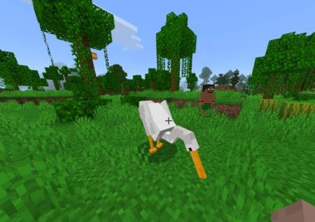 Цапля щипает траву