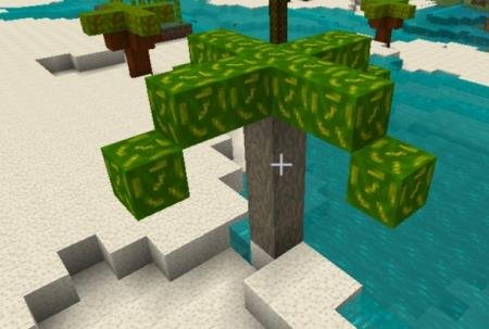 Банановое дерево