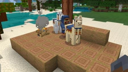 Дом странствующего торговца и его лам