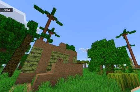 Новая структура, которая будет появляться в тропическом биоме