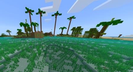 Огромный и прозрачный океан с множеством виднеющихся водорослей