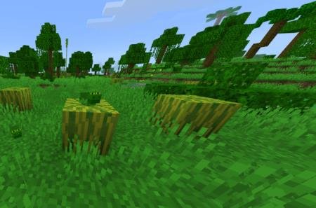 Лягушки, сливающиеся с биомом джунглей