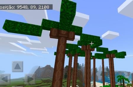 Дерево акаций