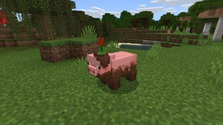 Грязная свинья