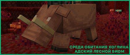 Хоглин среда обитания